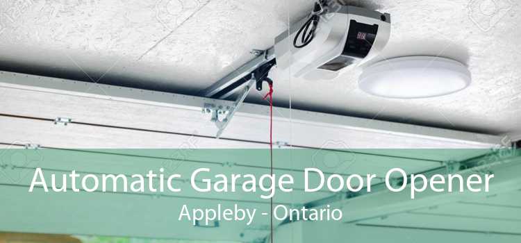 Automatic Garage Door Opener Appleby - Ontario