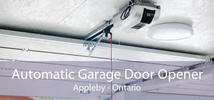 Automatic Garage Door Opener Appleby - Ontario