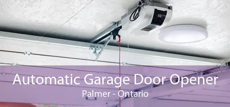 Automatic Garage Door Opener Palmer - Ontario