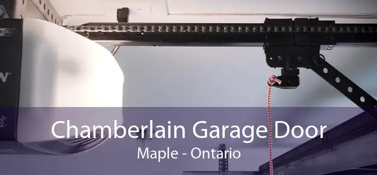 Chamberlain Garage Door Maple - Ontario