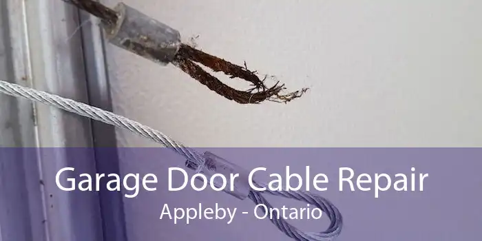 Garage Door Cable Repair Appleby - Ontario