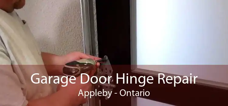 Garage Door Hinge Repair Appleby - Ontario