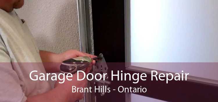 Garage Door Hinge Repair Brant Hills - Ontario