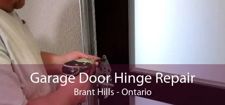 Garage Door Hinge Repair Brant Hills - Ontario