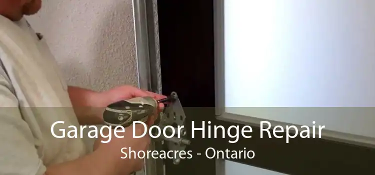Garage Door Hinge Repair Shoreacres - Ontario