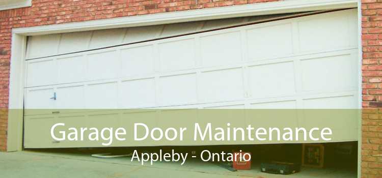 Garage Door Maintenance Appleby - Ontario