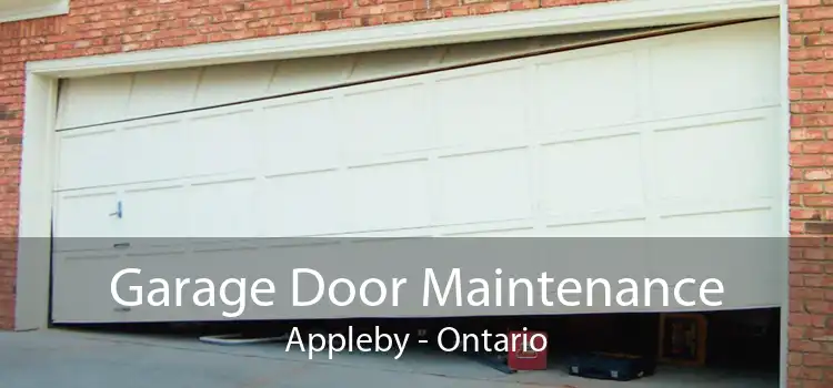 Garage Door Maintenance Appleby - Ontario