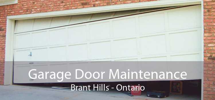 Garage Door Maintenance Brant Hills - Ontario