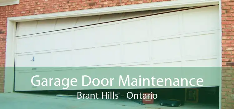 Garage Door Maintenance Brant Hills - Ontario