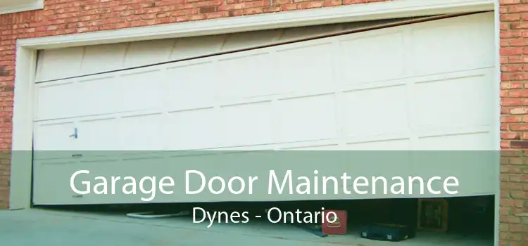 Garage Door Maintenance Dynes - Ontario