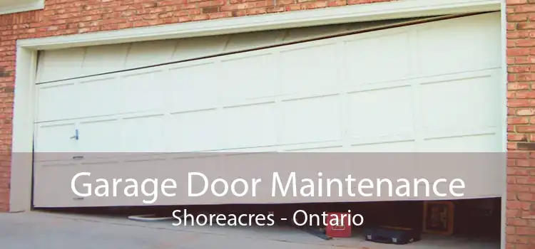 Garage Door Maintenance Shoreacres - Ontario