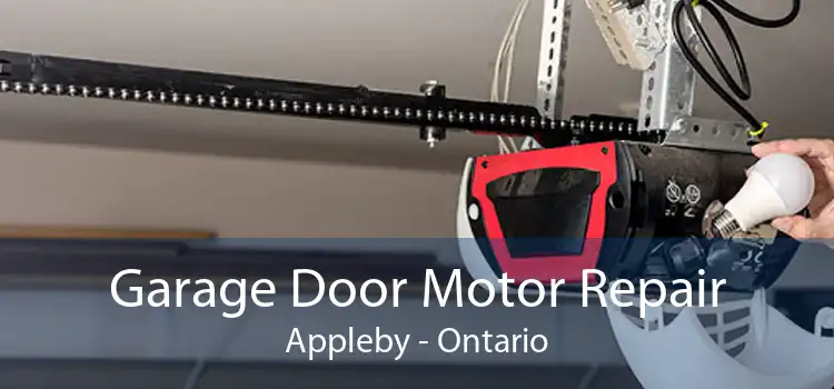 Garage Door Motor Repair Appleby - Ontario