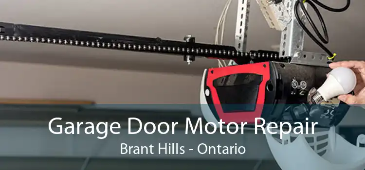 Garage Door Motor Repair Brant Hills - Ontario