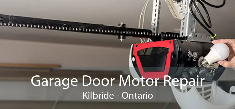 Garage Door Motor Repair Kilbride - Ontario