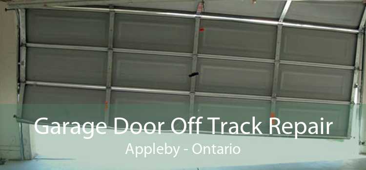 Garage Door Off Track Repair Appleby - Ontario
