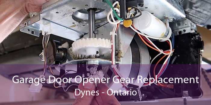 Garage Door Opener Gear Replacement Dynes - Ontario