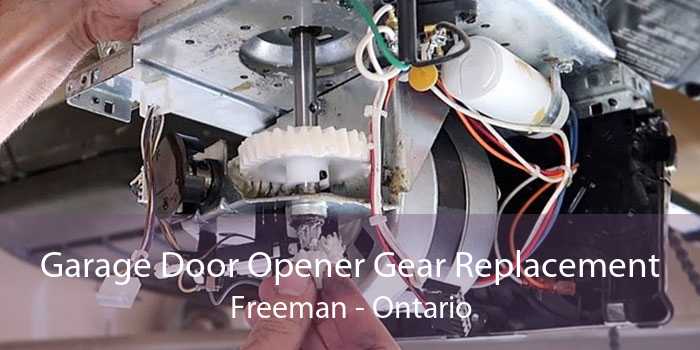 Garage Door Opener Gear Replacement Freeman - Ontario