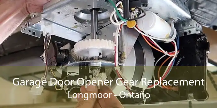 Garage Door Opener Gear Replacement Longmoor - Ontario
