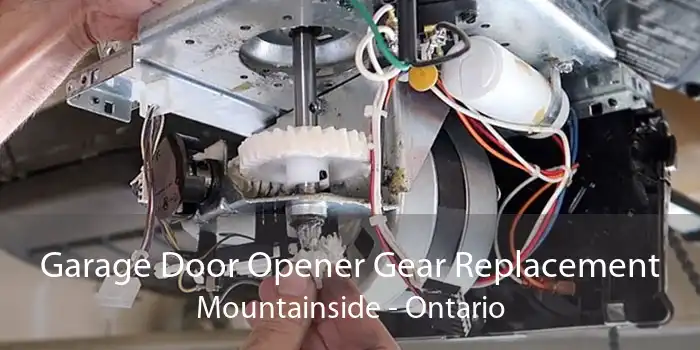 Garage Door Opener Gear Replacement Mountainside - Ontario