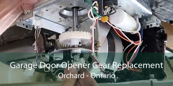 Garage Door Opener Gear Replacement Orchard - Ontario