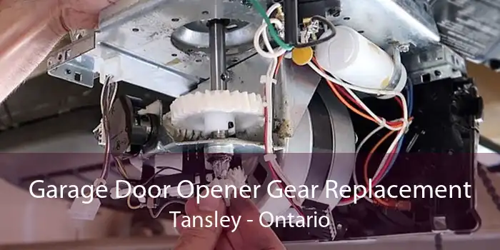 Garage Door Opener Gear Replacement Tansley - Ontario