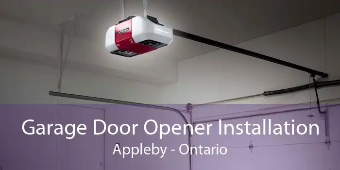 Garage Door Opener Installation Appleby - Ontario