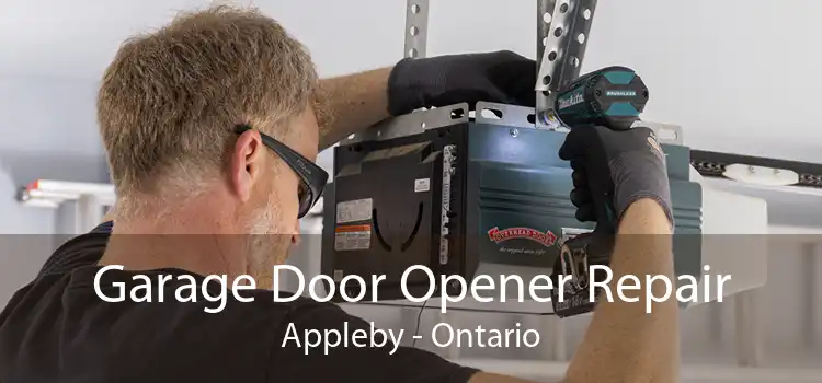 Garage Door Opener Repair Appleby - Ontario