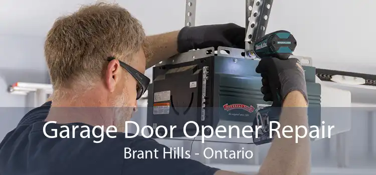 Garage Door Opener Repair Brant Hills - Ontario