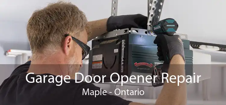 Garage Door Opener Repair Maple - Ontario