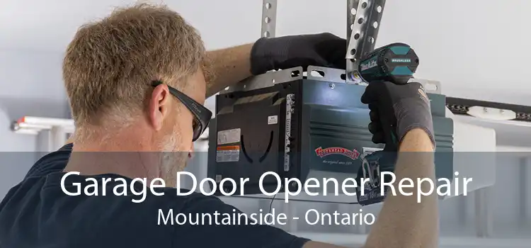 Garage Door Opener Repair Mountainside - Ontario