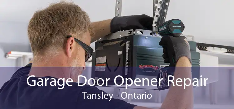 Garage Door Opener Repair Tansley - Ontario