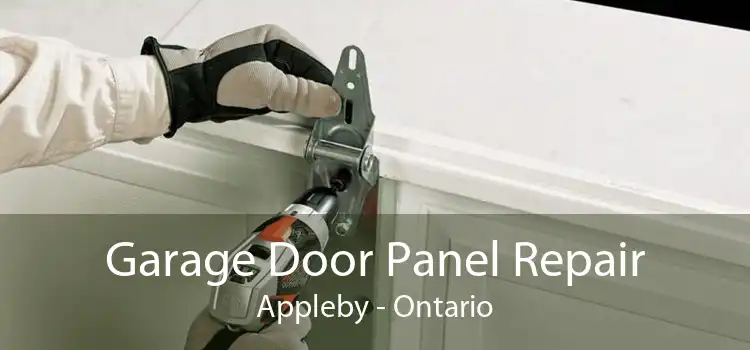 Garage Door Panel Repair Appleby - Ontario