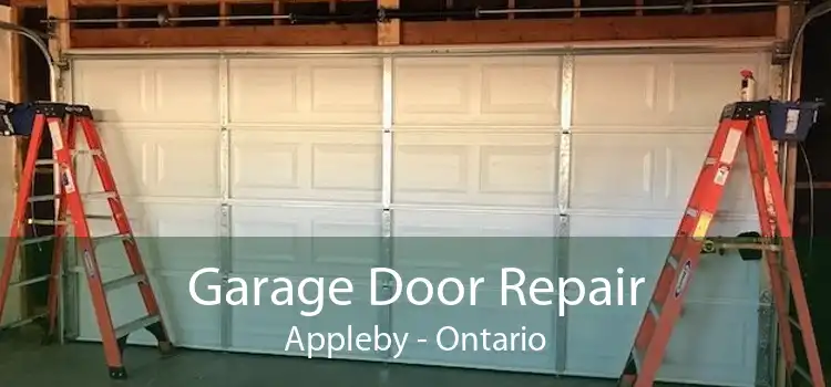 Garage Door Repair Appleby - Ontario