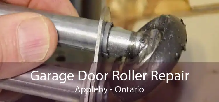 Garage Door Roller Repair Appleby - Ontario