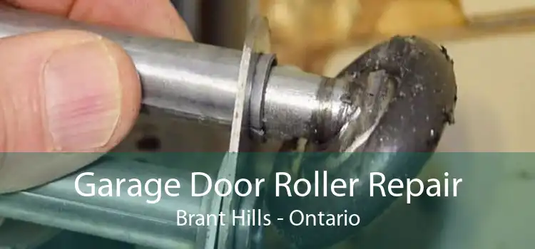 Garage Door Roller Repair Brant Hills - Ontario