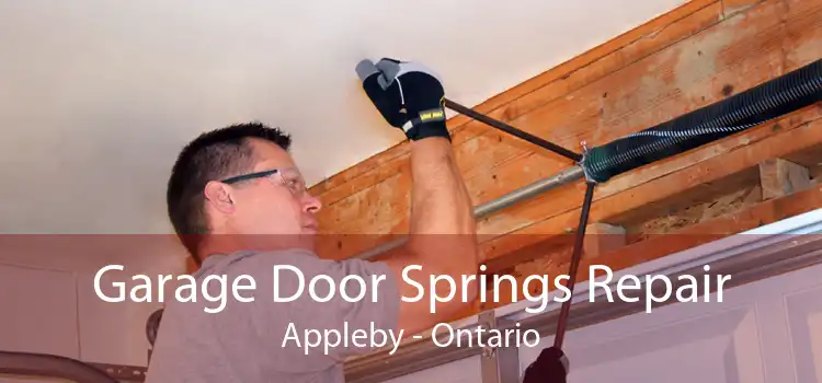 Garage Door Springs Repair Appleby - Ontario