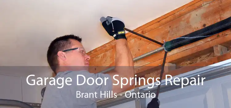 Garage Door Springs Repair Brant Hills - Ontario