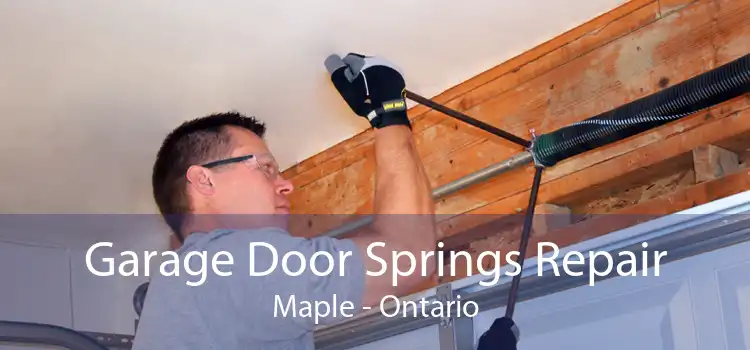 Garage Door Springs Repair Maple - Ontario