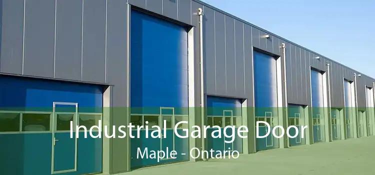 Industrial Garage Door Maple - Ontario