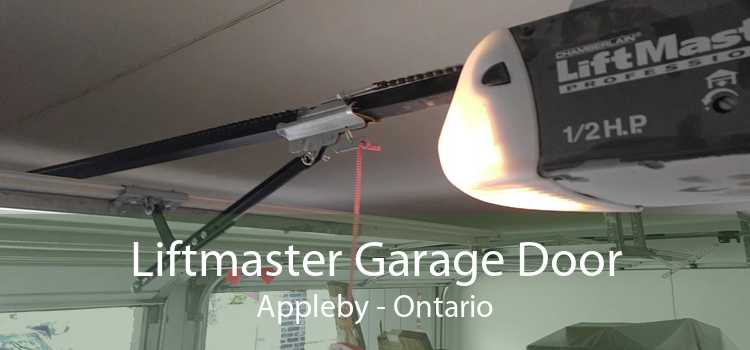 Liftmaster Garage Door Appleby - Ontario