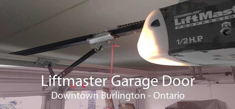 Liftmaster Garage Door Downtown Burlington - Ontario