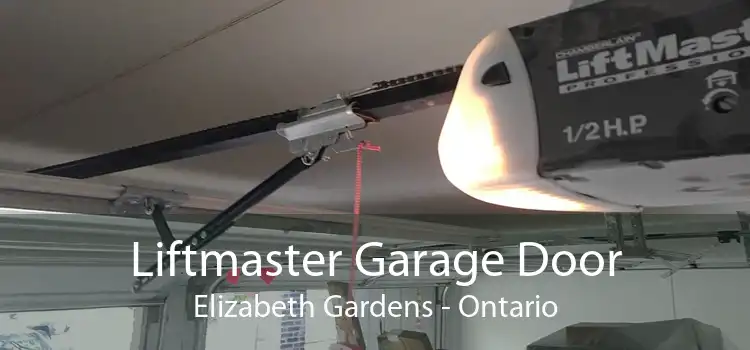 Liftmaster Garage Door Elizabeth Gardens - Ontario