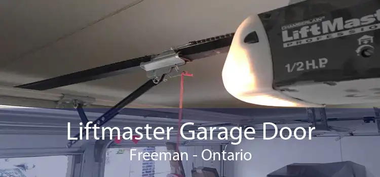 Liftmaster Garage Door Freeman - Ontario