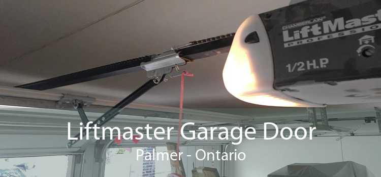 Liftmaster Garage Door Palmer - Ontario