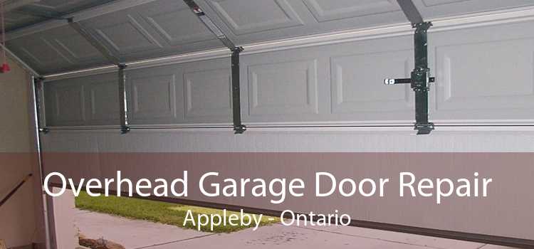 Overhead Garage Door Repair Appleby - Ontario
