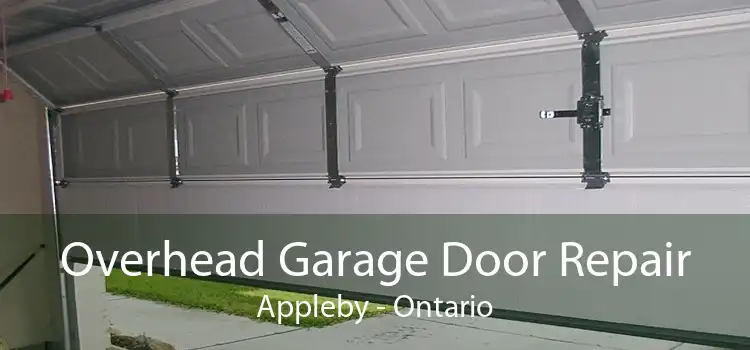 Overhead Garage Door Repair Appleby - Ontario