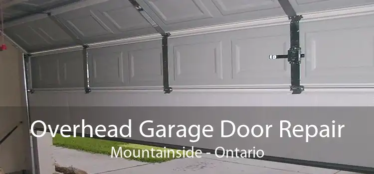 Overhead Garage Door Repair Mountainside - Ontario