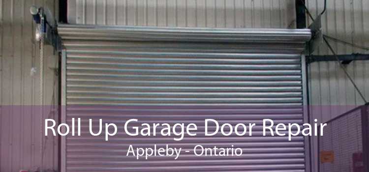 Roll Up Garage Door Repair Appleby - Ontario