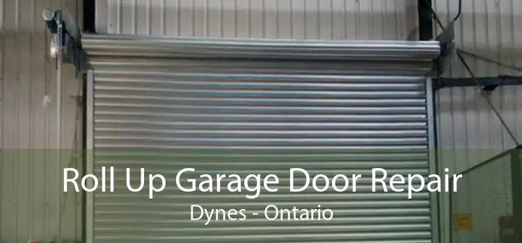 Roll Up Garage Door Repair Dynes - Ontario