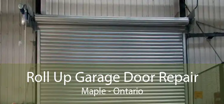 Roll Up Garage Door Repair Maple - Ontario